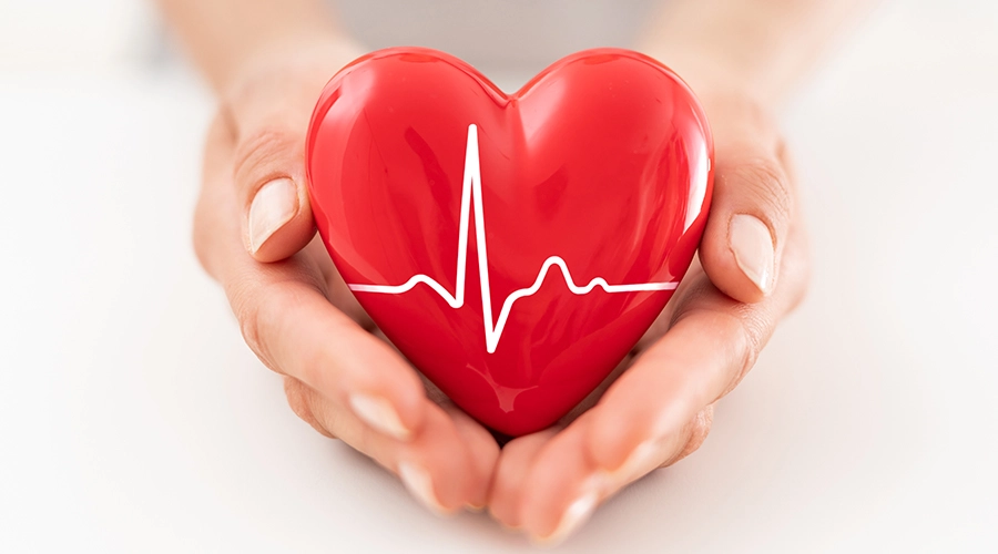 Heart Health दिल की सेहत | अगर आप अपने दिल को स्वस्थ रखना चाहते हैं तो इन बातों का ध्यान रखेंदिल की सेहत